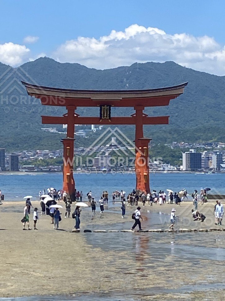 Full view of the offshore torii gate with visitors at low tide. Miyajima, Hiroshima, Japan.