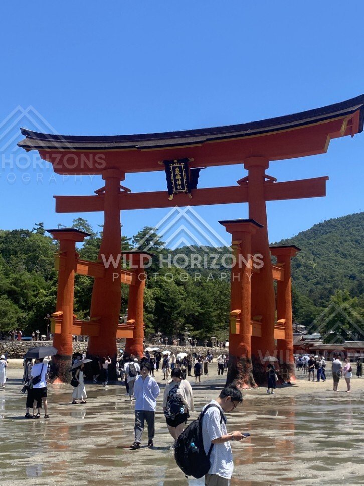 Close view beneath the towering torii gate with visitors below. Miyajima, Hiroshima, Japan.