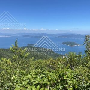 Wide coastal view across blue water toward distant mountains. Miyajima, Hiroshima, Japan.