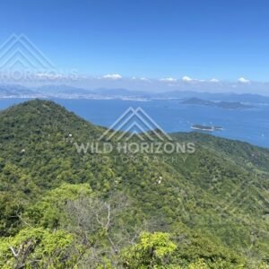 Forested mountain ridge overlooking the bay from an elevated viewpoint. Miyajima, Hiroshima, Japan.