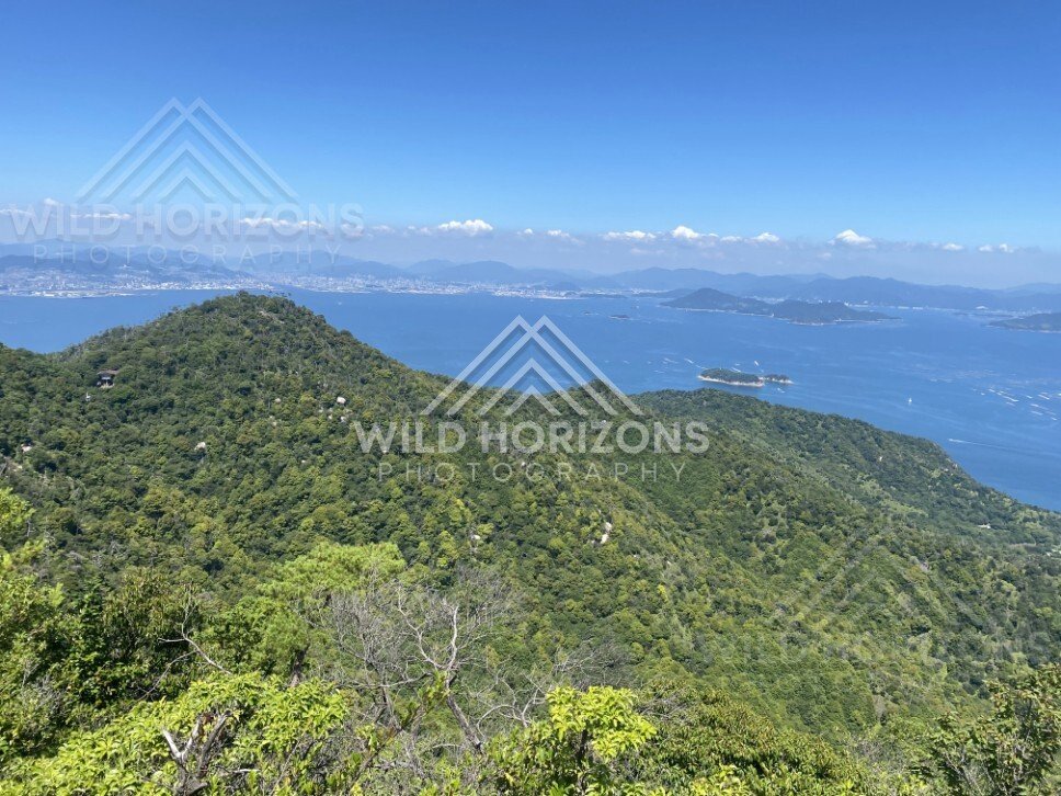 Forested mountain ridge overlooking the bay from an elevated viewpoint. Miyajima, Hiroshima, Japan.
