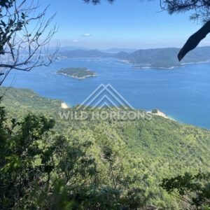 View through trees toward islands and turquoise bays below. Miyajima, Hiroshima, Japan.