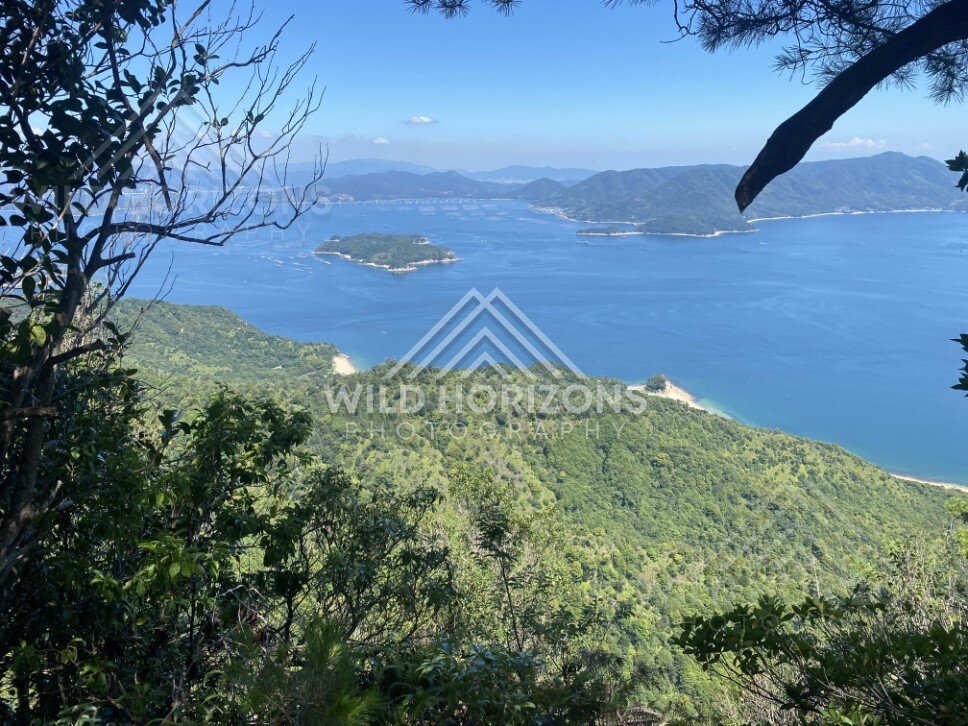 View through trees toward islands and turquoise bays below. Miyajima, Hiroshima, Japan.
