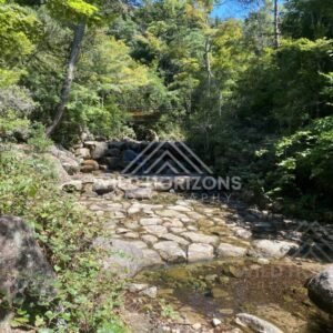 Stone stepping path across a shallow stream in shaded woodland. Miyajima, Hiroshima, Japan.