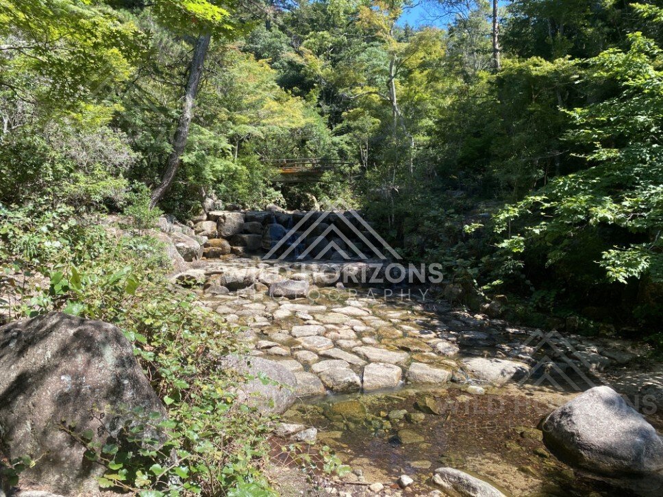 Stone stepping path across a shallow stream in shaded woodland. Miyajima, Hiroshima, Japan.