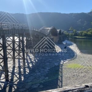 Sunlit wooden bridge curving across a dry riverbed toward forested hills. Iwakuni, Yamaguchi, Japan.
