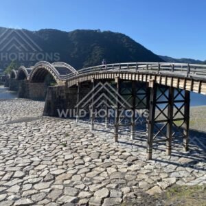 Close view of the Kintaikyo Bridge structure and supporting beams. Iwakuni, Yamaguchi, Japan.