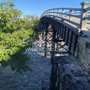 Multi-arched Kintaikyo Bridge viewed across the river. Iwakuni, Yamaguchi, Japan.