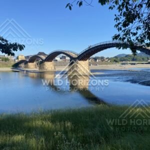 Kintaikyo Bridge reflected in still river water beneath leafy branches. Iwakuni, Yamaguchi, Japan.