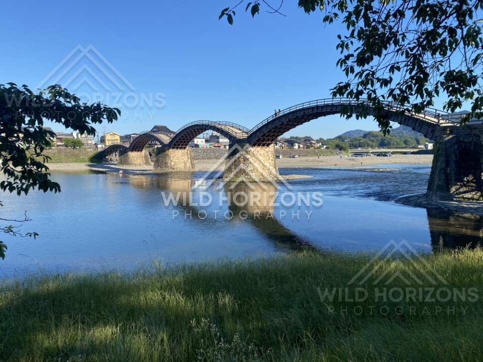 Kintaikyo Bridge reflected in still river water beneath leafy branches. Iwakuni, Yamaguchi, Japan.