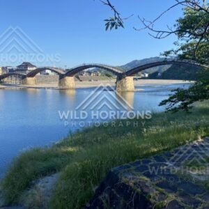 Wide view of the multi-arched Kintaikyo Bridge spanning a calm river. Iwakuni, Yamaguchi, Japan.