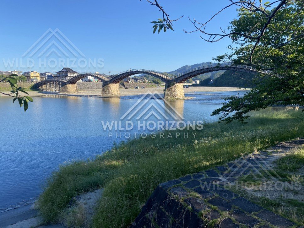 Wide view of the multi-arched Kintaikyo Bridge spanning a calm river. Iwakuni, Yamaguchi, Japan.