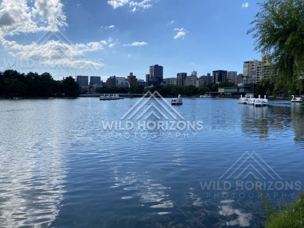 Calm lake waters in Ohori Park with city skyline beyond. Ohori Park, Fukuoka, Japan.
