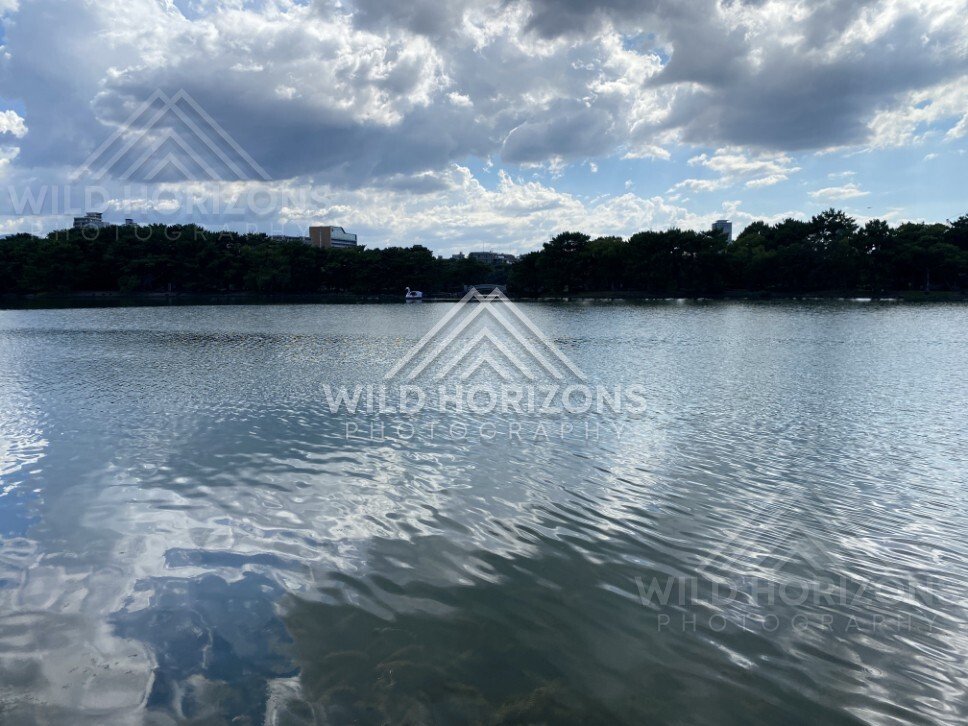 Cloud reflections ripple across a city lake under a wide summer sky. Fukuoka, Japan.