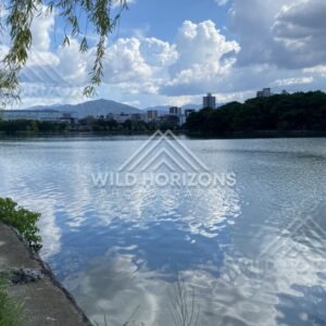 Willow branches frame the lake edge with city buildings beyond the water. Fukuoka, Japan.