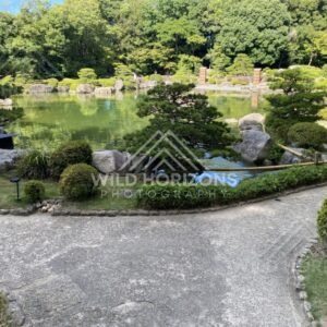 Curving garden paths overlook a wide pond framed by stones and shaped shrubs. Fukuoka, Japan.