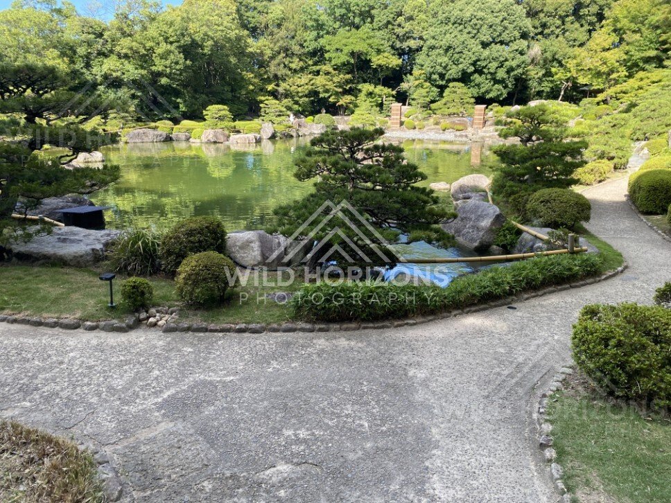 Curving garden paths overlook a wide pond framed by stones and shaped shrubs. Fukuoka, Japan.