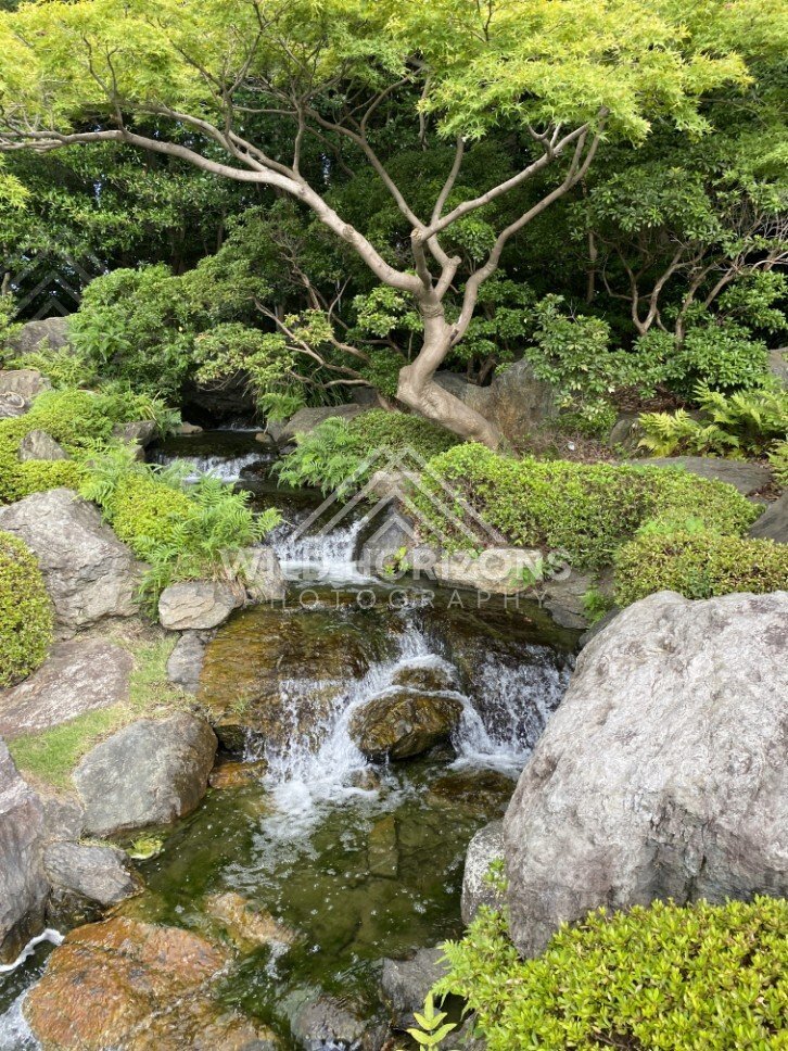 A small waterfall cascades over stones beneath leafy trees in a Japanese garden. Fukuoka, Japan.