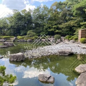 A rock-and-pebble shoreline meets a reflective pond inside a Japanese garden. Fukuoka, Japan.