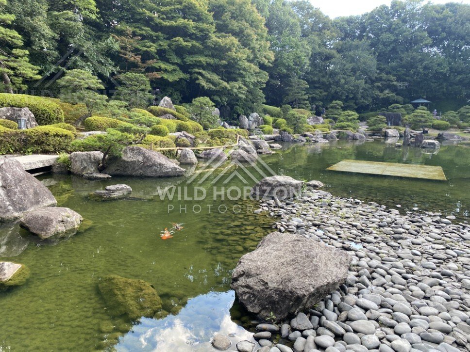 A koi-filled pond surrounds boulders and pebble beds within a Japanese garden. Fukuoka, Japan.