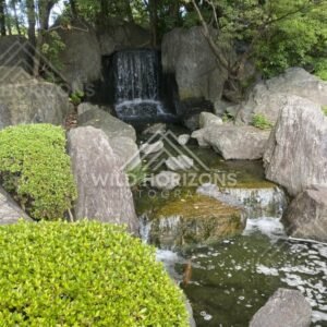 A garden waterfall spills into a pool ringed by large stones and shrubs. Fukuoka, Japan.