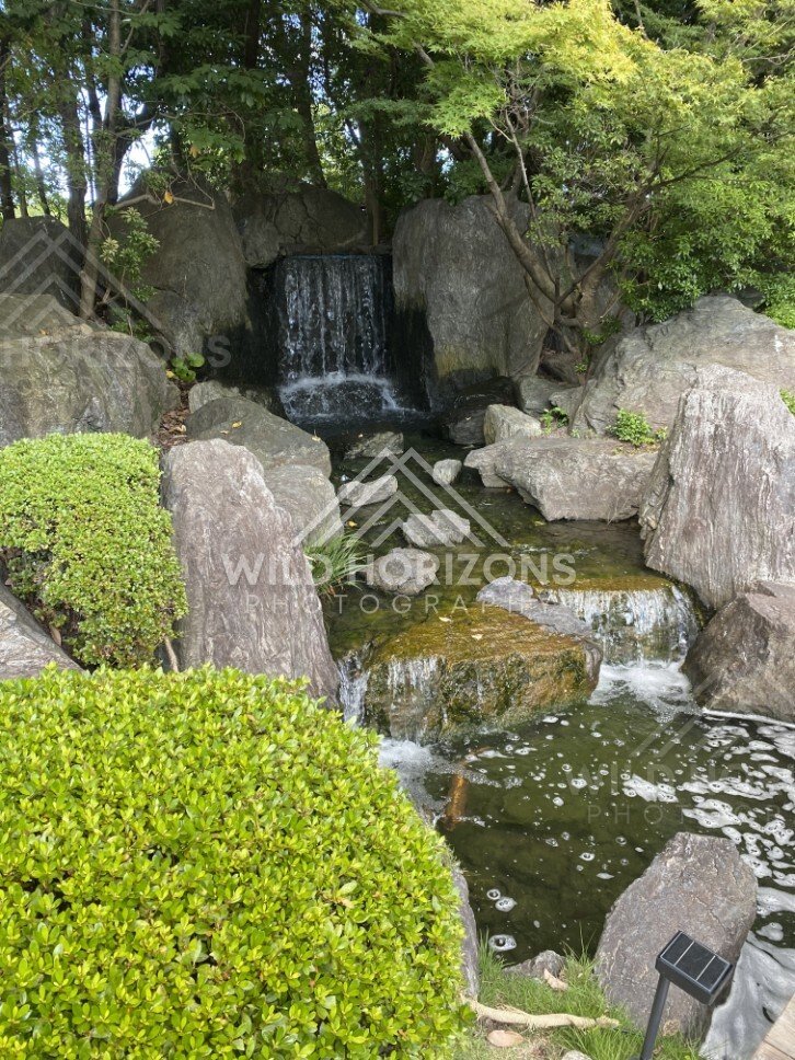 A garden waterfall spills into a pool ringed by large stones and shrubs. Fukuoka, Japan.