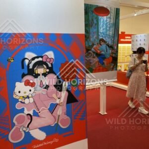 Visitors exploring a Hello Kitty pop culture exhibition with framed artworks. Fukuoka, Japan.