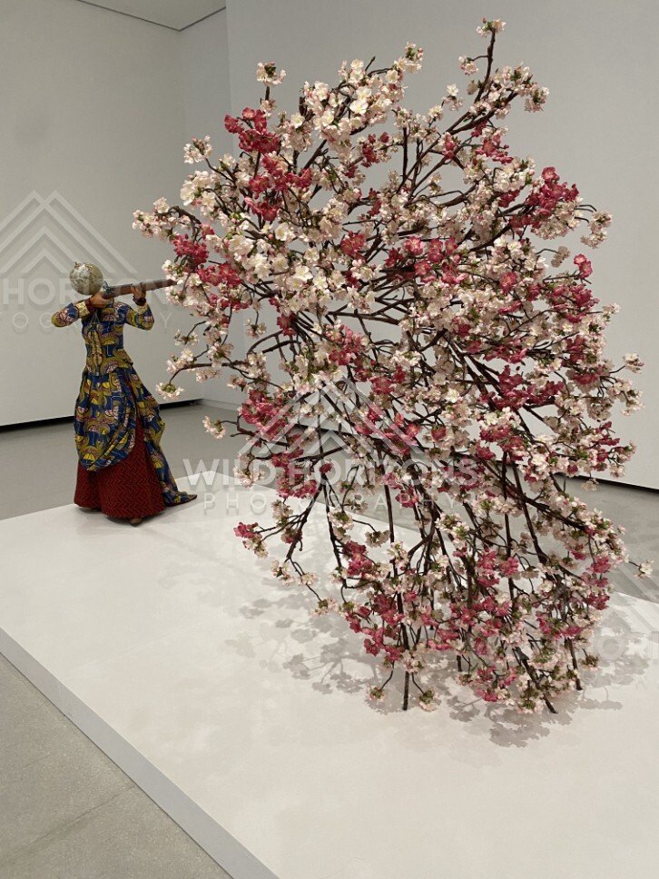 Art installation of a blossoming tree sculpture with a figure looking through a telescope. Fukuoka, Japan.