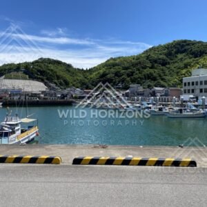 Fishing boats moored in a sheltered harbour backed by hills and waterfront buildings. Nagasaki, Japan.