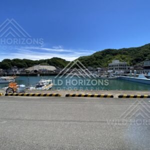 Wide view of a small harbour marina with boats, seawall, and hillside town. Nagasaki, Japan.