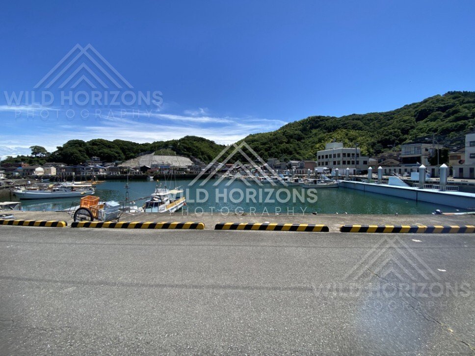 Wide view of a small harbour marina with boats, seawall, and hillside town. Nagasaki, Japan.