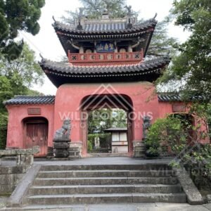 Ornate red temple entrance gate framed by trees and stone steps. Nagasaki, Japan.