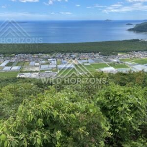 Karatsu Bay Panorama with Long Pine-Covered Sandbar. Karatsu, Japan.