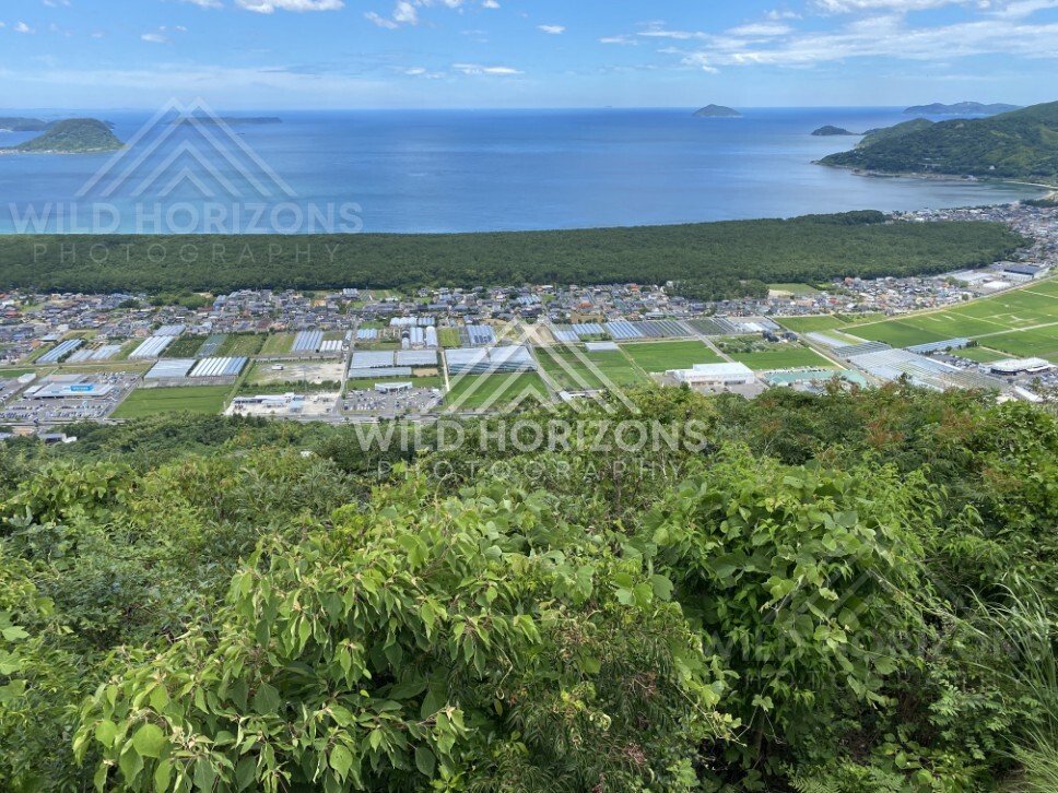 Karatsu Bay Panorama with Long Pine-Covered Sandbar. Karatsu, Japan.