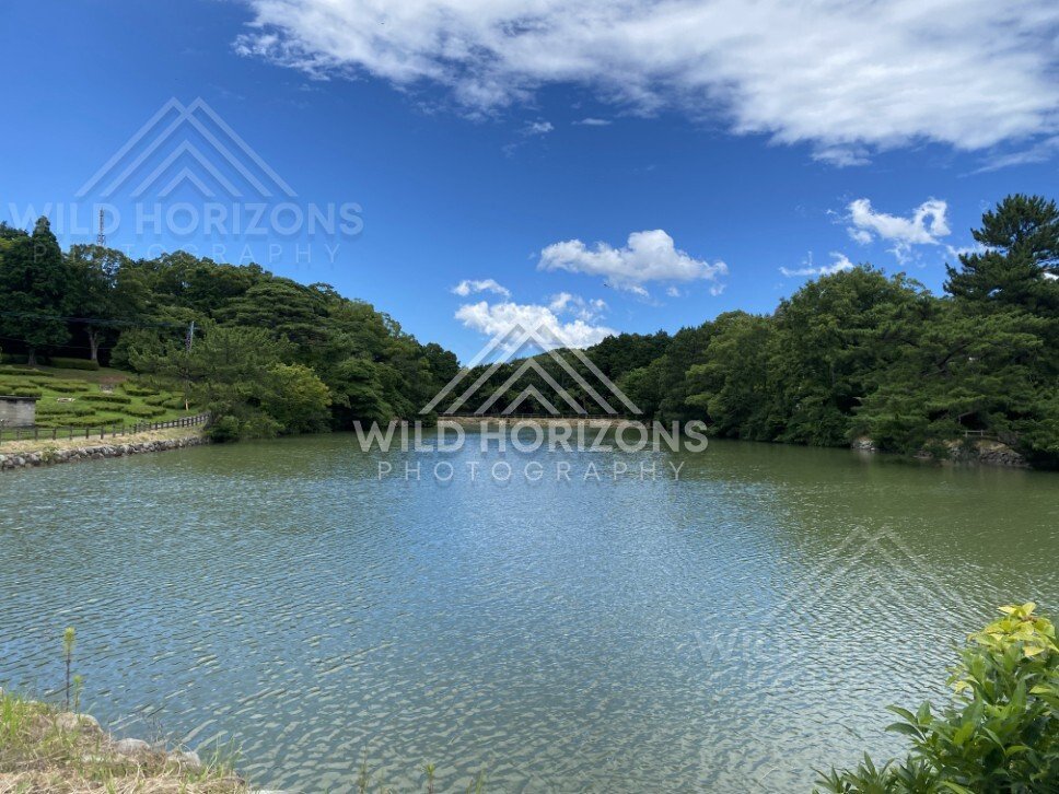 Small Hilltop Reservoir Surrounded by Trees at Mount Kagami. Karatsu, Japan.