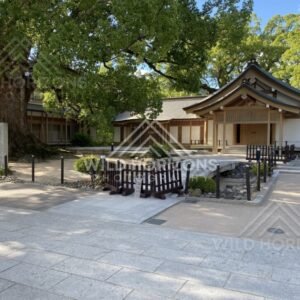 Shrine Courtyard Buildings Beneath a Large Camphor Tree. Dazaifu, Japan.