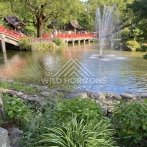 Red Bridges and Fountain in the Shrine Pond at Dazaifu Tenmangu. Fukuoka, Japan.