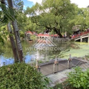 Vertical View of the Shrine Pond and Red Bridges at Dazaifu Tenmangu. Fukuoka, Japan.