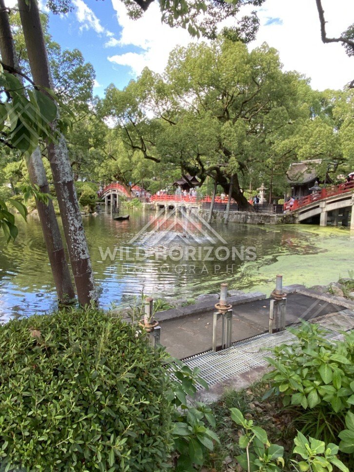 Vertical View of the Shrine Pond and Red Bridges at Dazaifu Tenmangu. Fukuoka, Japan.