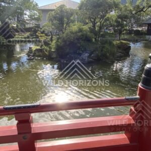 Sunlit Shrine Pond Viewed from a Red Bridge. Fukuoka, Japan.