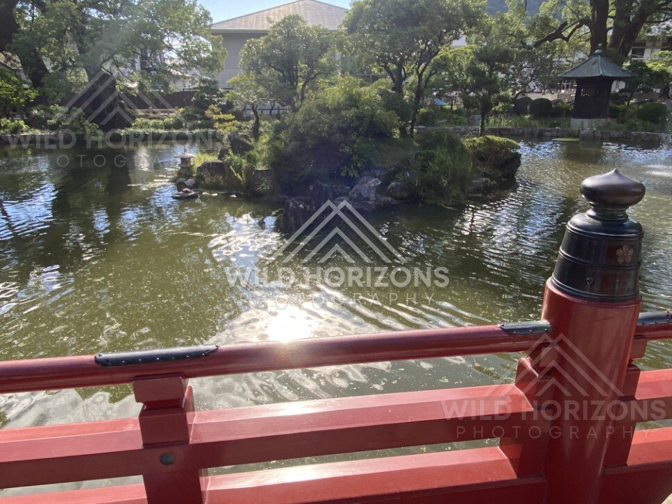 Sunlit Shrine Pond Viewed from a Red Bridge. Fukuoka, Japan.