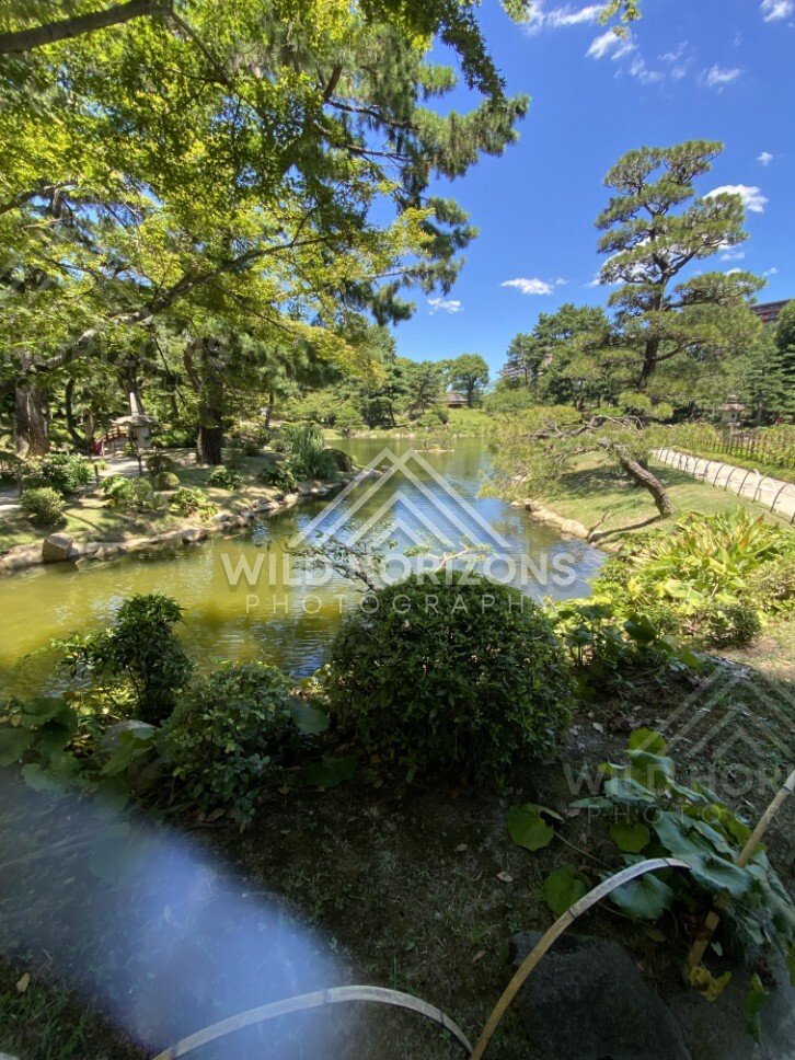 Garden Pond and Pine Trees Under a Clear Blue Sky. Hiroshima, Japan.