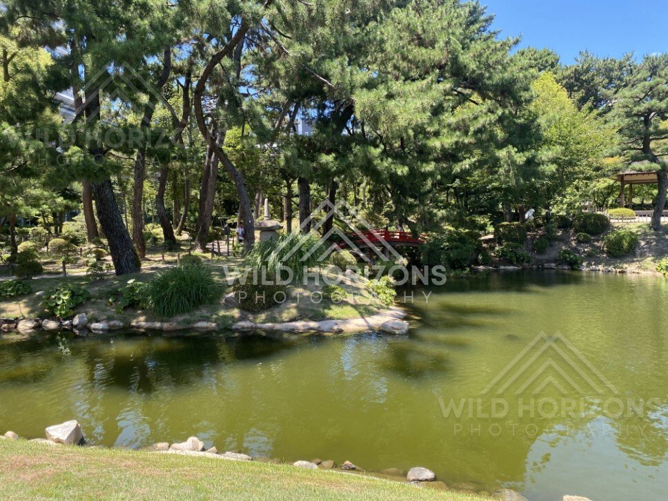 Red Footbridge Across the Pond in Shukkeien Garden. Hiroshima, Japan.