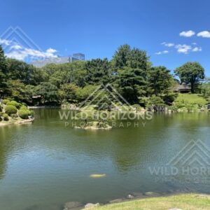 Wide View Across Shukkeien Garden Pond with Sculpted Shrubs. Hiroshima, Japan.