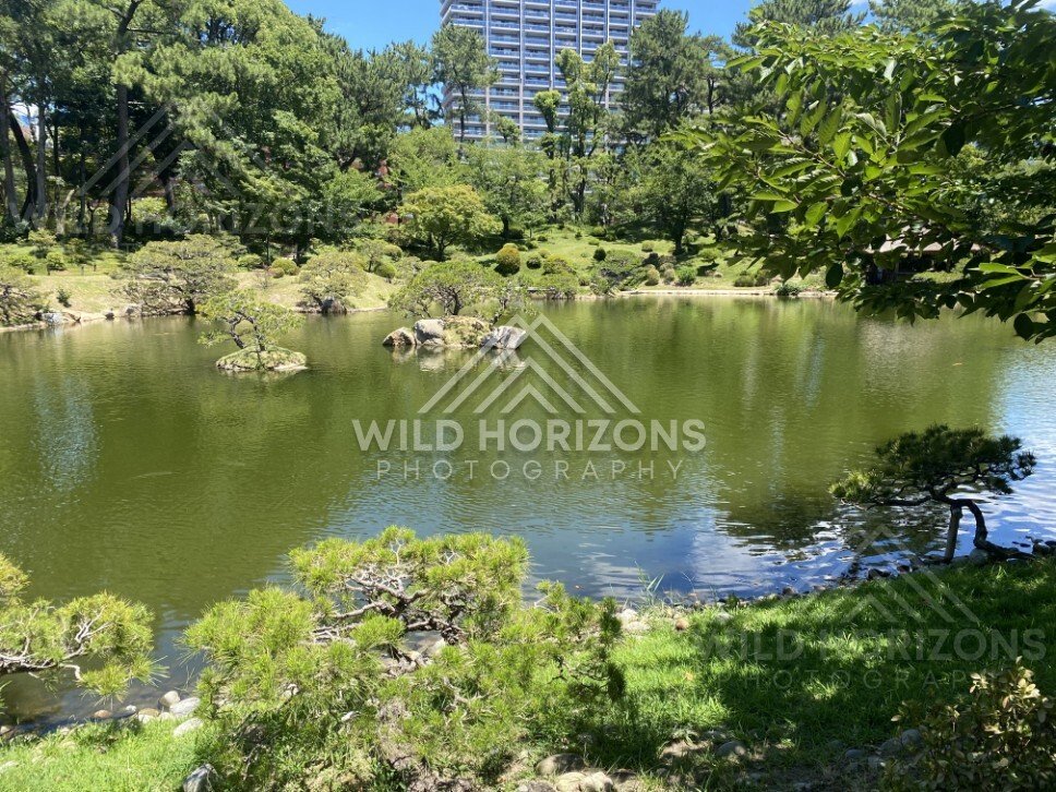 Shukkeien Garden Pond with Islands and City Buildings Beyond. Hiroshima, Japan.