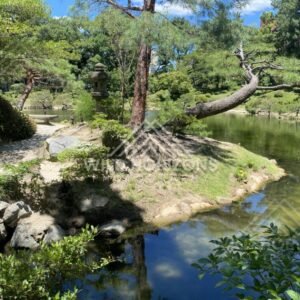 Garden Path and Stone Lantern Beside the Pond. Hiroshima, Japan.