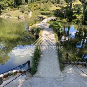 Stone Path and Arched Bridge Crossing the Garden Pond. Hiroshima, Japan.