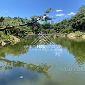 Wide Pond Reflections with Garden Bridge and City Skyline. Hiroshima, Japan.