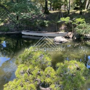 Boat Moored Along a Shaded Pond Bank. Hiroshima, Japan.