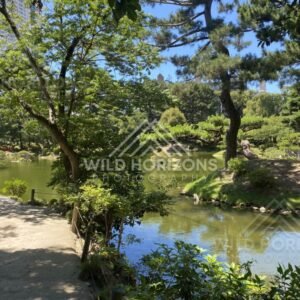 Shaded Garden Path Beside a Pond in Shukkeien Garden. Hiroshima, Japan.